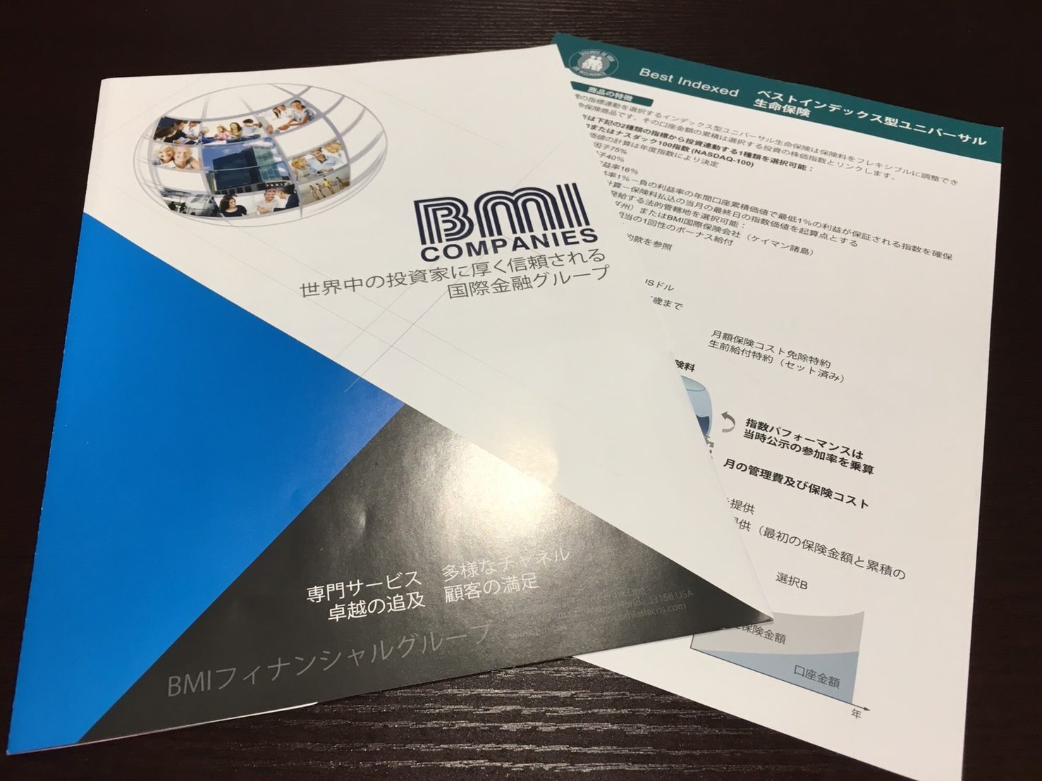 海外保険上陸 Bmiのユニバーサル生命保険 終身生命保険がアメリカから上陸 賢人の海外投資マニュアル 海外保険上陸 Bmiのユニバーサル生命保険 終身生命保険がアメリカから上陸 賢人の海外投資マニュアル